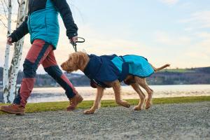 Non stop dogwear glacier hundtäcke