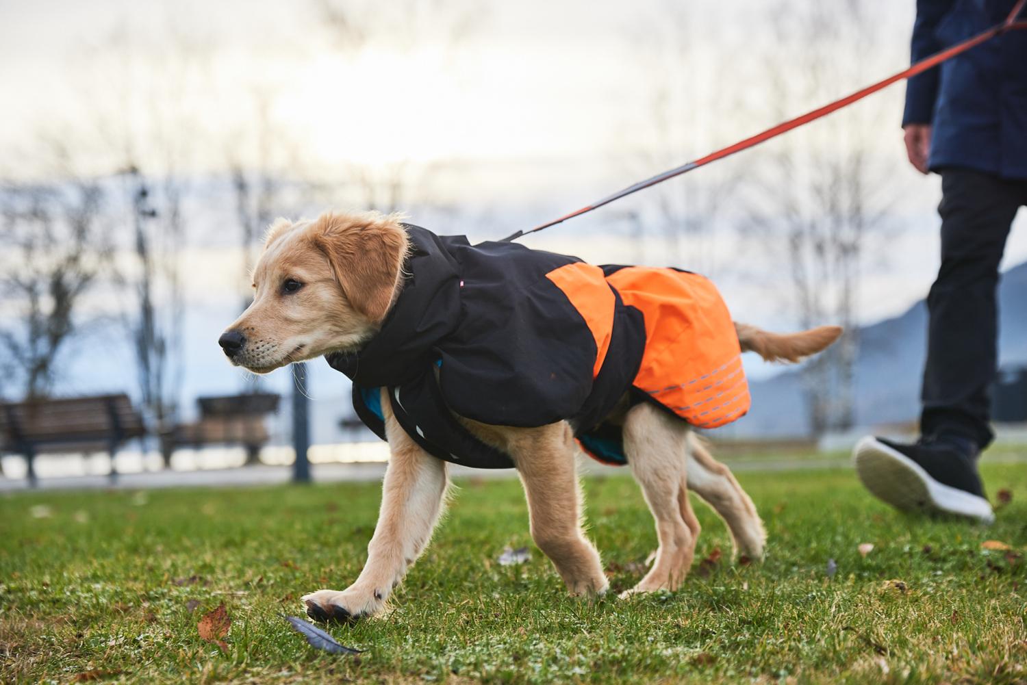 Non stop dogwear glacier hundtäcke