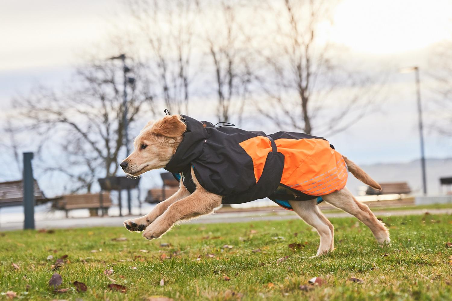 Non stop dogwear glacier hundtäcke orange