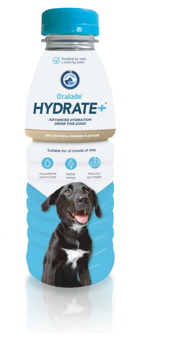 Healthy Pet Scandinavia Oralade Hydrate+ Hund