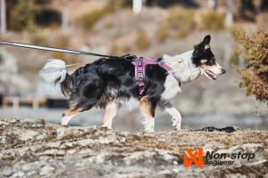 Non-stop Dogwear Ramble Harness Lila