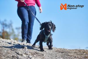 Non-stop Dogwear Ramble Harness Grön