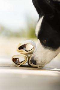 RAUH! tuggbenen tillverkas som hantverk i Finland och bara av råvaror som håller prima kvalitet. Våra tillverkningsmetoder har alldeles från början planerats enbart för tillverkning av tuggben och annat hundgodis,