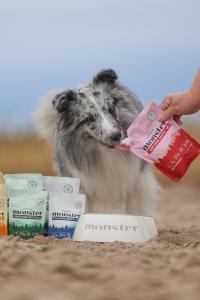 Monster Dog Bone Broth 350ml