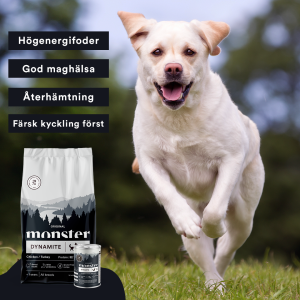Monster torrfoder hund
