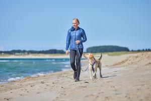 Även om den här selen har utvecklats för aktiviteter som vandring och spårning, kan den också användas för canicross, cykelturnering och skijoring för hundar som inte drar så hårt i kopplet.