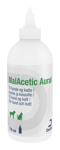 foderallergi katt symptom foderallergi katt symptom