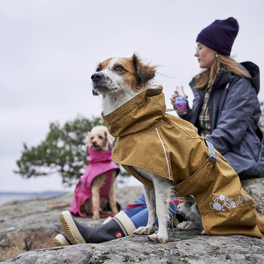 Med en uppdaterad design och passform på vår populära Monsoon regnjacka, nu tillverkad av 100 % återvunnet material, så finns det inget bättre sätt att hålla sig torr och bekväm i kallt och blött vinterväder.