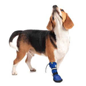 Medical Pet Shirt hundsko