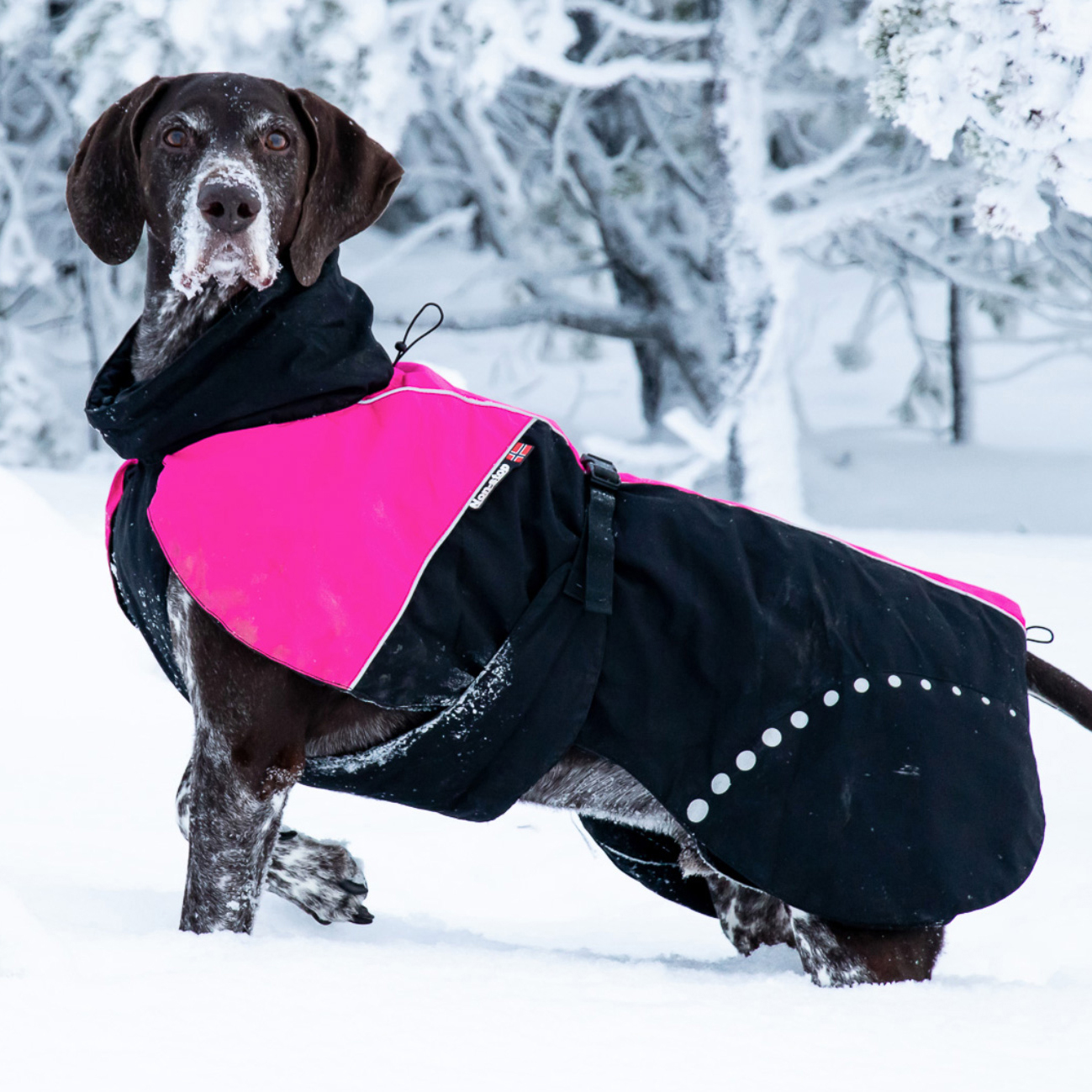 Nonstop Dogwear Alpha Pro Jacket, rosa