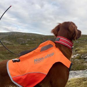 Non-stop Dogwear Protector Vest GPS