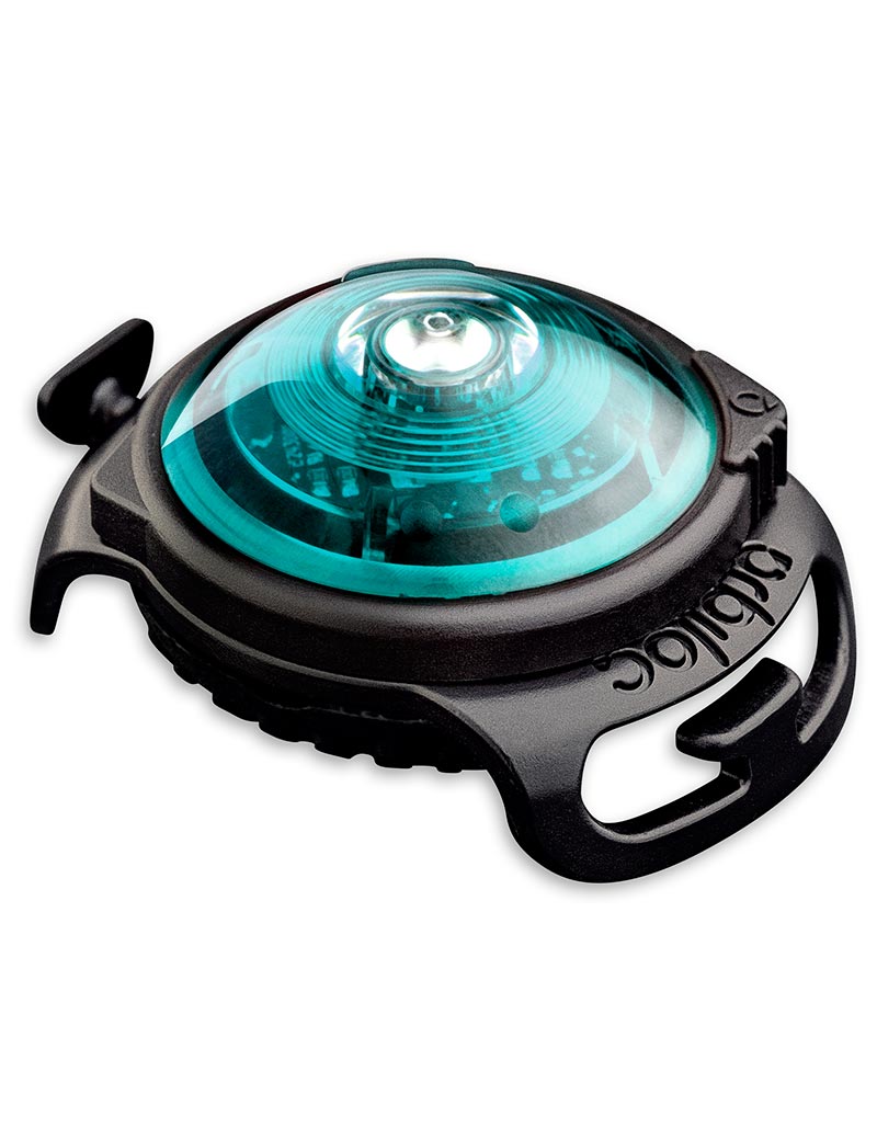 Orbiloc Dog Dual Turkos