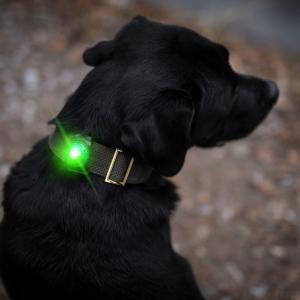 Orbiloc Dog Dual Grön