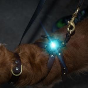 Orbiloc Dog Dual Turkos