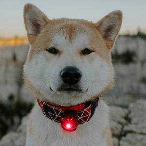 Orbiloc Dog Dual Röd