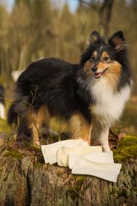 RAUH! tuggbenen tillverkas som hantverk i Finland och bara av råvaror som håller prima kvalitet. Våra tillverkningsmetoder har alldeles från början planerats enbart för tillverkning av tuggben och annat hundgodis,