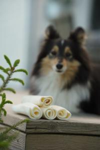 RAUH! tuggbenen tillverkas som hantverk i Finland och bara av råvaror som håller prima kvalitet. Våra tillverkningsmetoder har alldeles från början planerats enbart för tillverkning av tuggben och annat hundgodis,