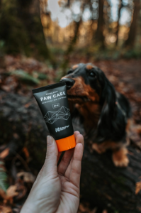 Hundens tassar utsätts för massiv belastning från skarpa kanter, is, snö, vägsalt, grus och varm asfalt. För att tassarna ska anpassa sig till den miljö de ska vara i, bör de få vård under hela året.