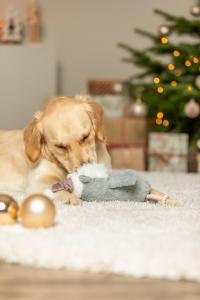 Trixie Xmas Uggla plysch/rep