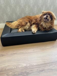 Pass of Sweden Hundbädd