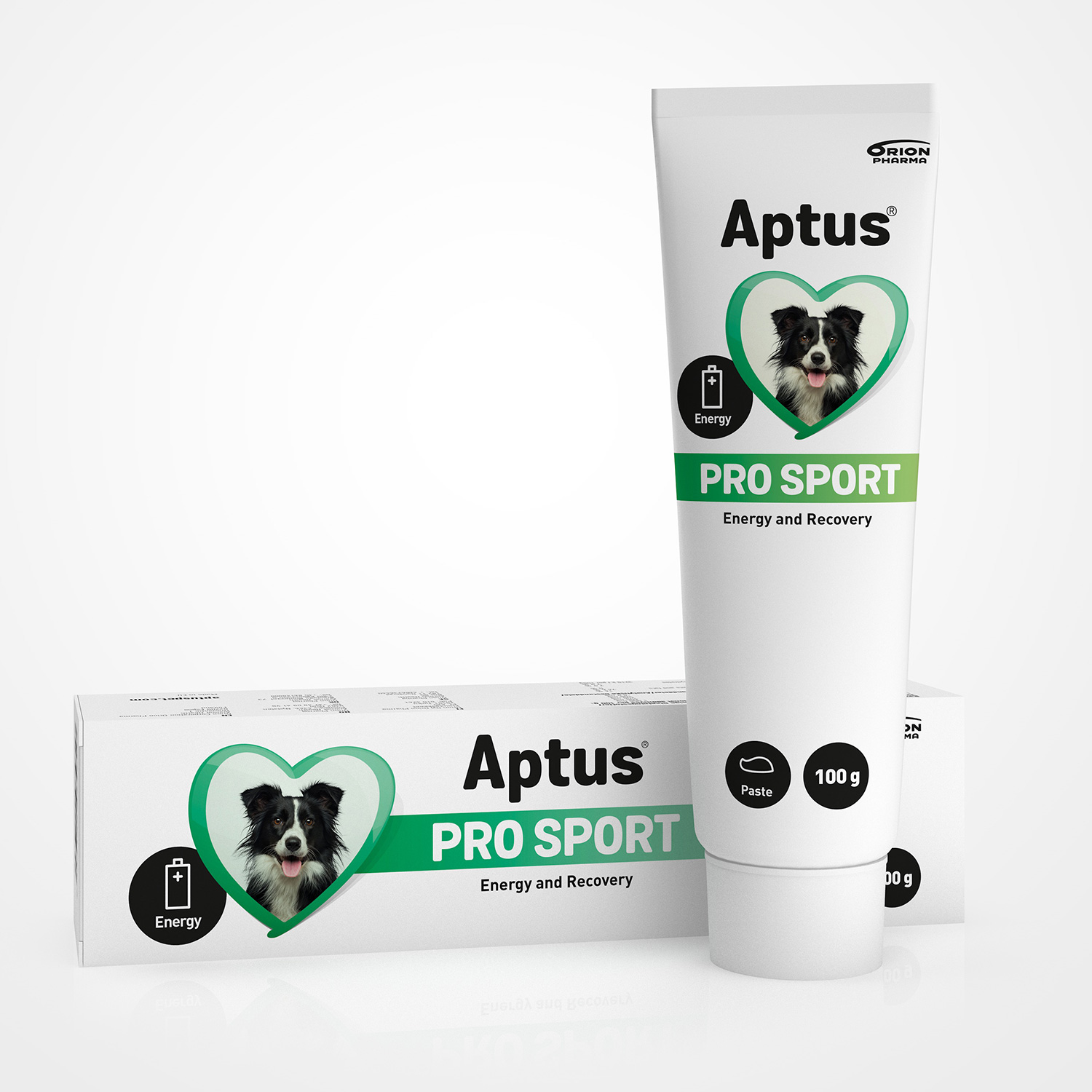 fasilitator aptus fasilitator aptus