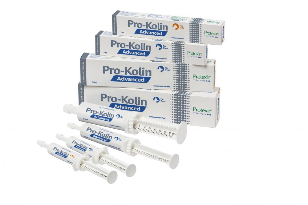 Proklein Color Healthy Pet Scandinavia Pro-Kolin+