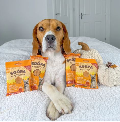 Soopa Healthy Bites är spannmålsfria, allergivänliga och tillverkade av naturliga ingredienser av humankvalitet. De hjälper till att hålla din hunds tänder rena och förbättrar andedräkten.