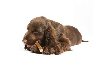 Whimzees Puppy M/L Påse 14p