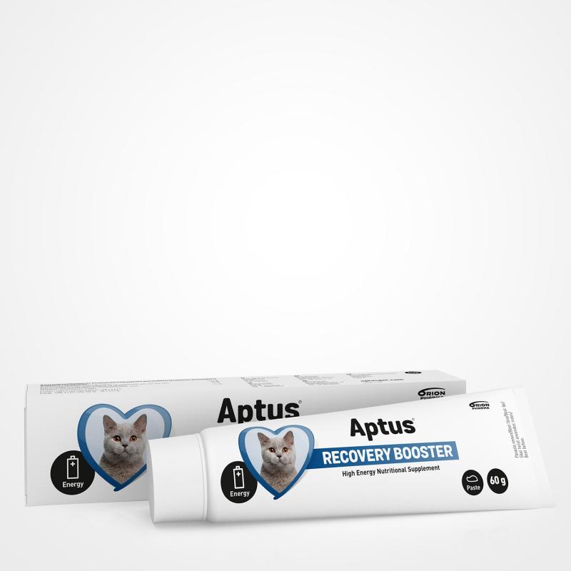 Aptus Recovery Booster For Cats