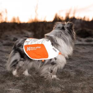 Non-Stop Dogwear Reflection Blanket