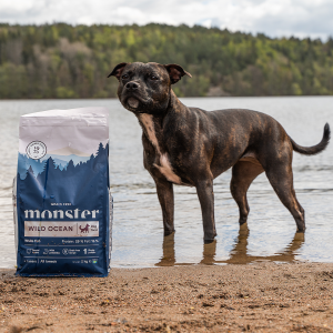 Monster torrfoder hund