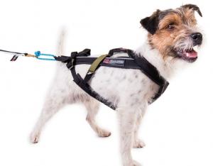 Non-stop Dogwear Freemotion Harness