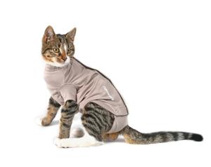 Buster Body Suit Step´n Go till katt