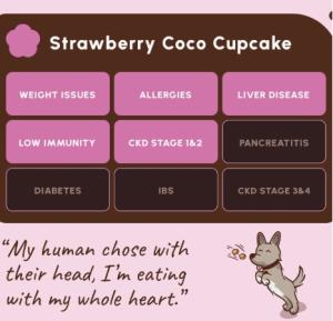 Soopa Bites Strawberry & Coco-Cream Cupcake