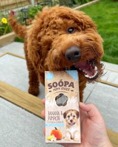 Soopa spannmålsfritt hundgodis till valpar