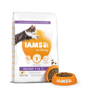 Iams Cat Kitten