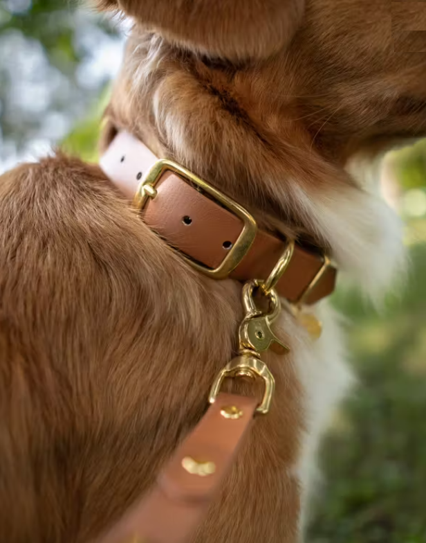 Birger & Company Classic Leash  Stilrent enfärgat koppel som är gjort av Biothane Beta med mässingdetaljer.