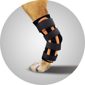 Scandi Orthopedic Tarsal Ortos Grad 2,5 Universal