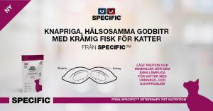 Specific Healthy Cat Treats FT-H