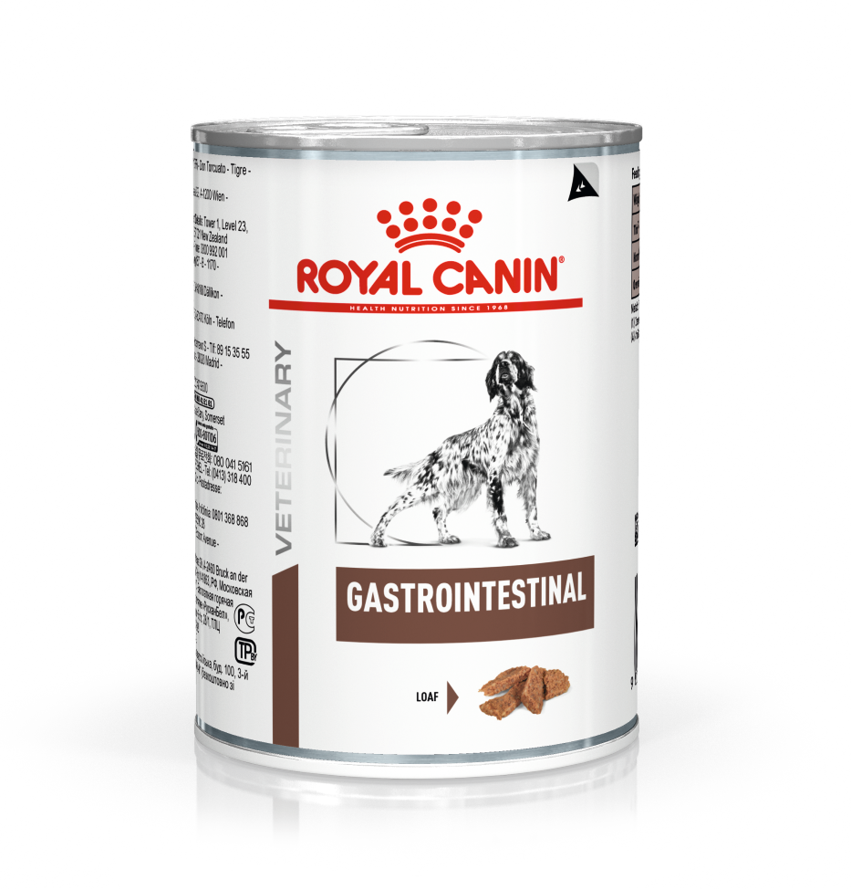 Royal Canin Veterinary Diet Dog Gastrointestinal Loaf Wet