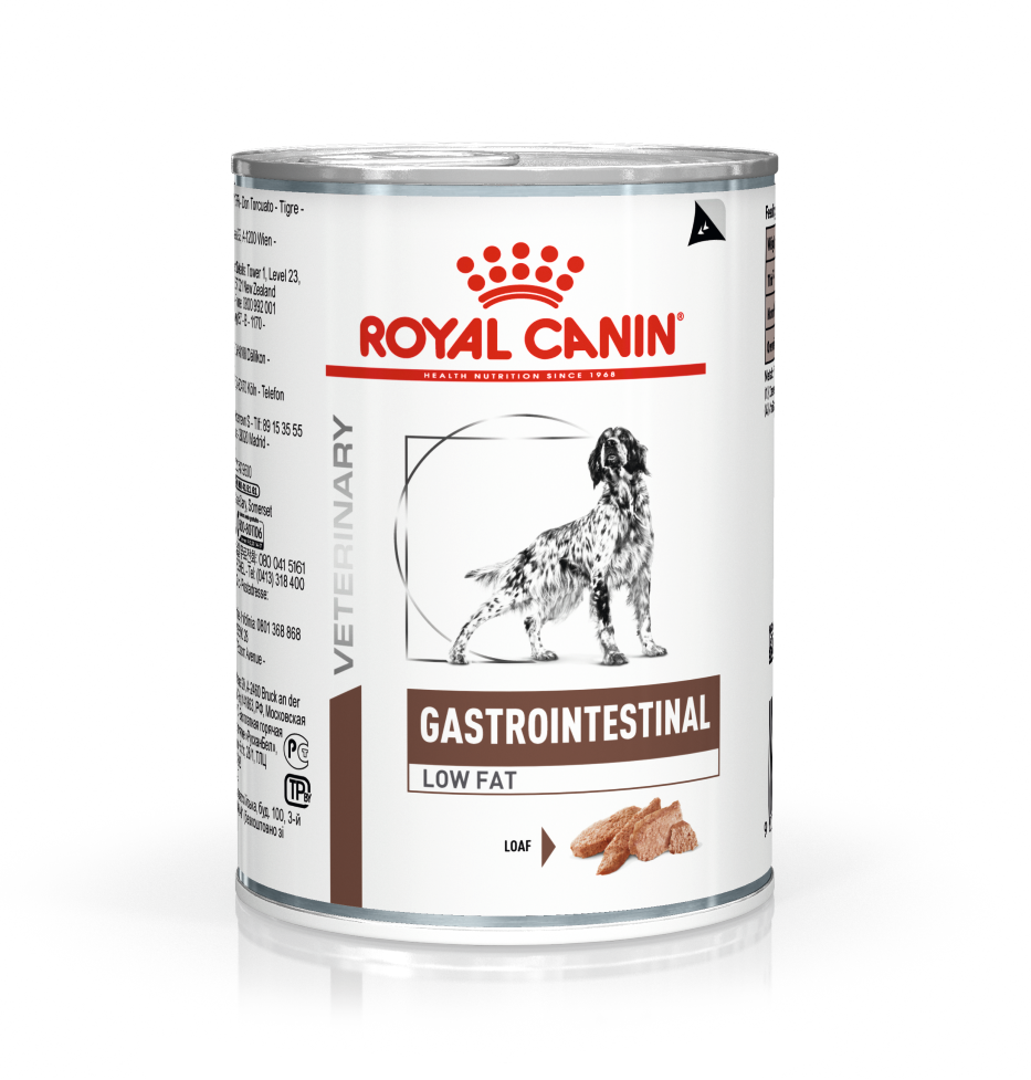Royal Canin Veterinary Diet Dog Gastrointestinal Low Fat Wet 420g