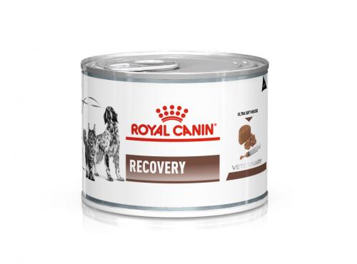 Royal Canin Veterinary Diets Gastrointestinal Recovery Ultra Soft Mousse
