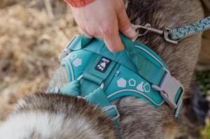 Hurtta Weekend warrior hundsele passar perfekt för den aktiva hunden