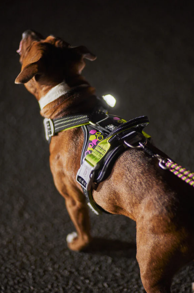 Hurtta weekend sele färgen neon