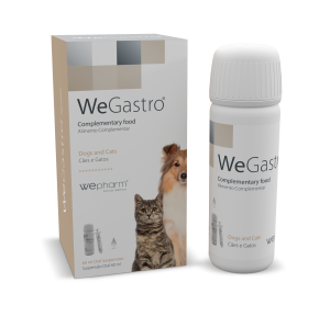 Kompletteringsfoder för hund och katt som innehåller substanser som hjälper till att stödja en normal gastrisk funktion.