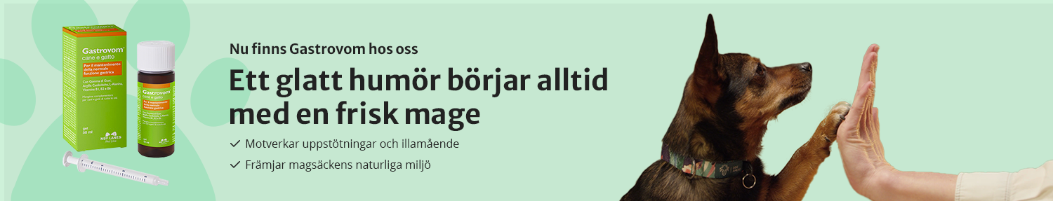 Köp Gastrovom Pet hos Vetsstore.se