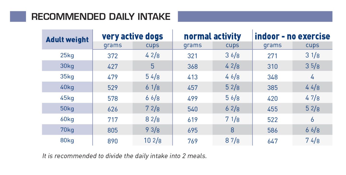 Utformning Utformning