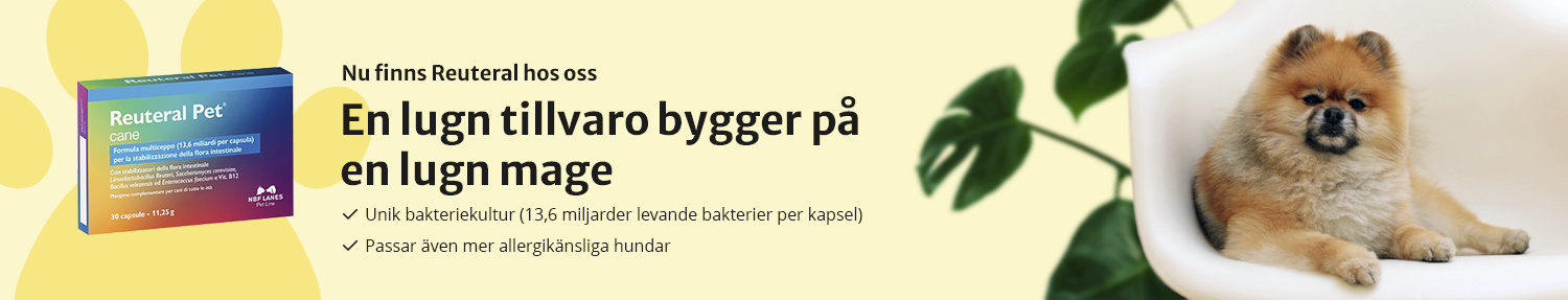 Köp Reuteral Pet hos Vetsstore.se
