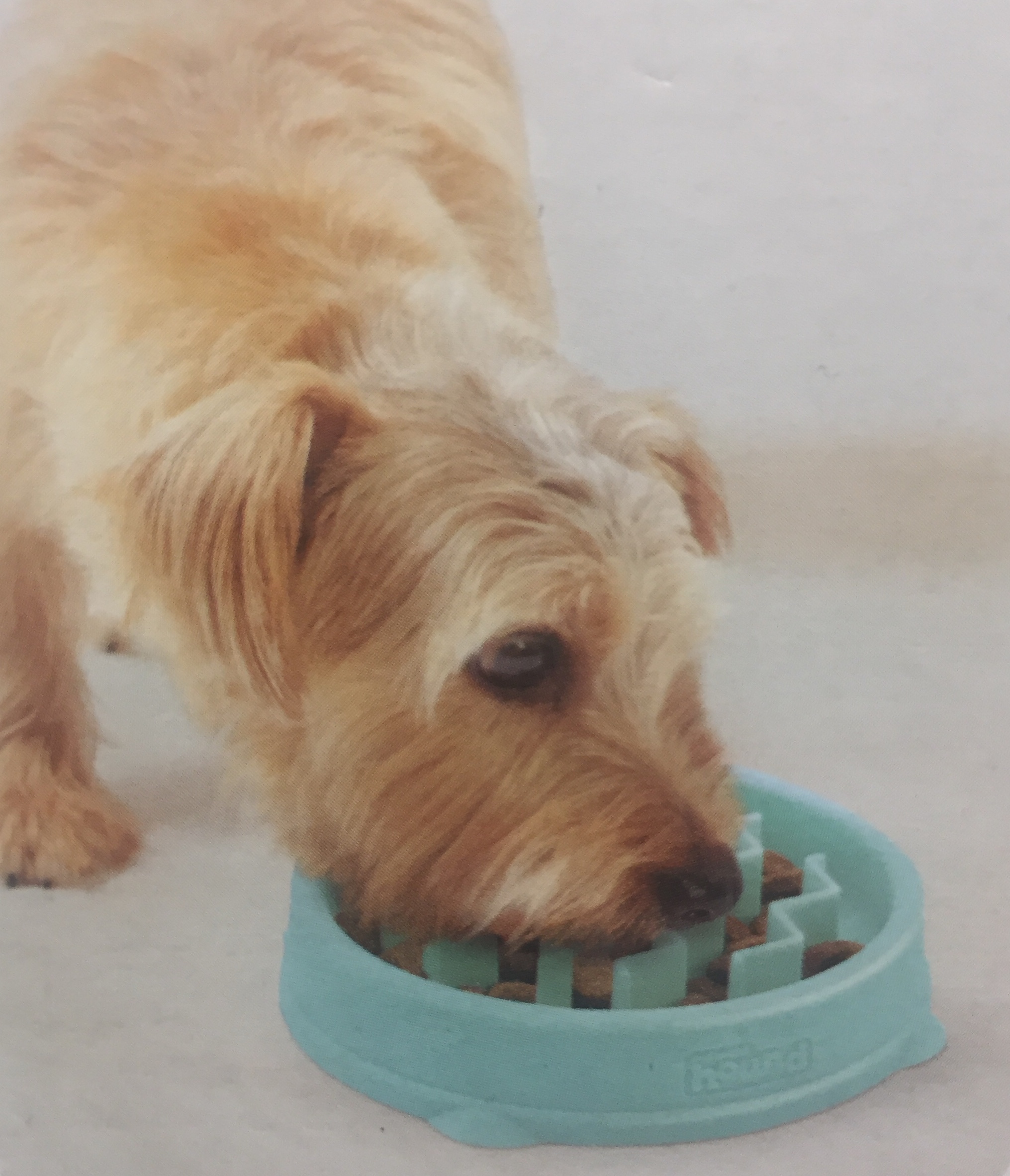 Outward Hound Fun Feeder Slo-Bowl Mint