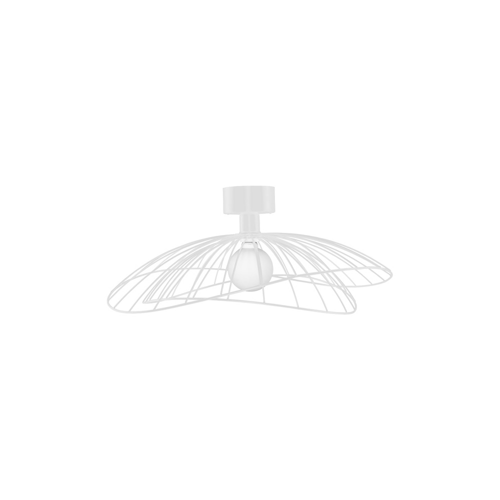 Globen Lighting Plafond/Vägglampa Ray Vit